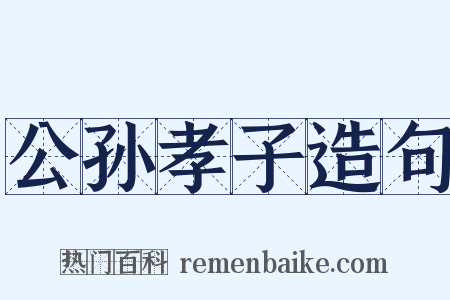 公孙孝子造句是什么意思的图片